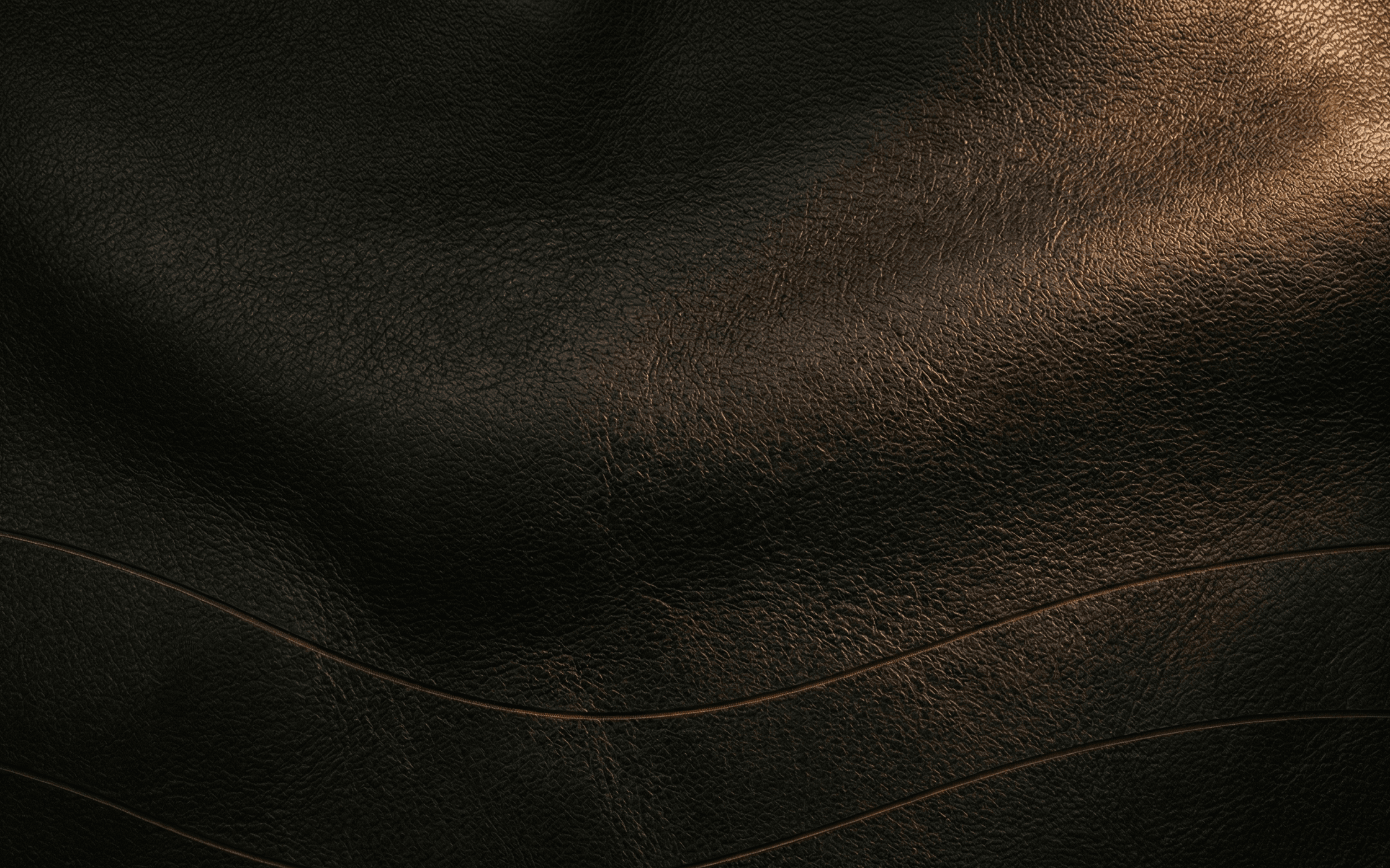 Premium finished leather texture in deep charcoal tones